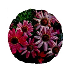 Pink Asters Standard 15  Premium Flano Round Cushions by okhismakingart