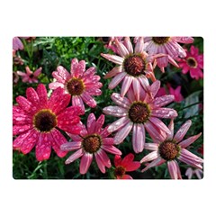 Pink Asters Double Sided Flano Blanket (mini)  by okhismakingart