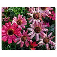 Pink Asters Double Sided Flano Blanket (medium)  by okhismakingart