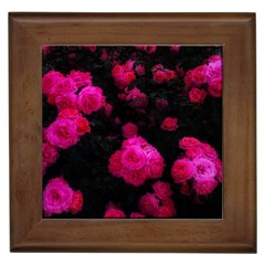 Bunches Of Roses Framed Tiles by okhismakingart