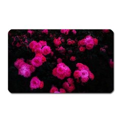 Bunches Of Roses Magnet (rectangular) by okhismakingart