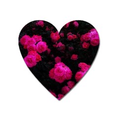 Bunches Of Roses Heart Magnet by okhismakingart