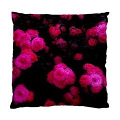 Bunches Of Roses Standard Cushion Case (one Side) by okhismakingart