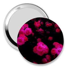 Bunches Of Roses 3  Handbag Mirrors by okhismakingart