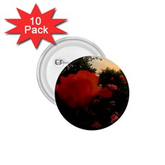 Rose Landscape 1 75  Buttons (10 Pack) by okhismakingart