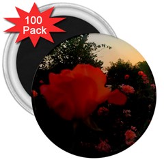 Rose Landscape 3  Magnets (100 Pack) by okhismakingart