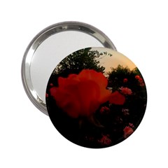 Rose Landscape 2 25  Handbag Mirrors