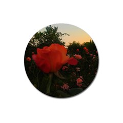 Rose Landscape Magnet 3  (round) by okhismakingart