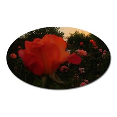 Rose Landscape Oval Magnet by okhismakingart