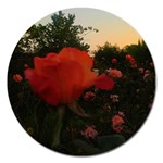 Rose Landscape Magnet 5  (Round) Front