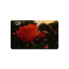 Rose Landscape Magnet (name Card) by okhismakingart