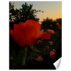 Rose Landscape Canvas 12  X 16  by okhismakingart