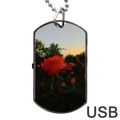 Rose Landscape Dog Tag Usb Flash (two Sides) by okhismakingart