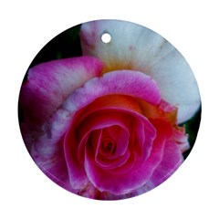 Spiral Rose Ornament (round) by okhismakingart