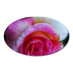 Spiral Rose Oval Magnet Front