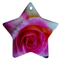 Spiral Rose Star Ornament (two Sides) by okhismakingart