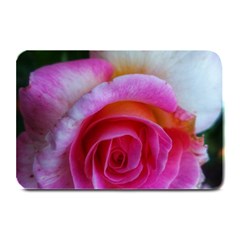 Spiral Rose Plate Mats by okhismakingart