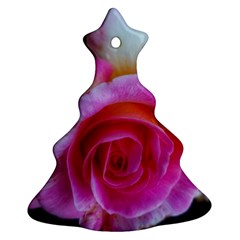 Spiral Rose Christmas Tree Ornament (two Sides) by okhismakingart