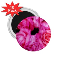 Pink Roses 2 25  Magnets (10 Pack)  by okhismakingart