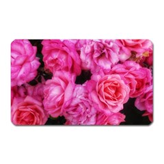 Pink Roses Magnet (rectangular) by okhismakingart