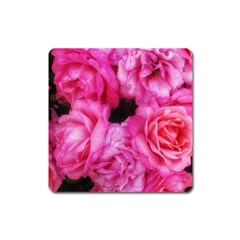 Pink Roses Square Magnet by okhismakingart