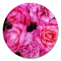 Pink Roses Magnet 5  (round) by okhismakingart