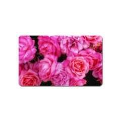 Pink Roses Magnet (name Card) by okhismakingart