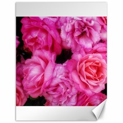 Pink Roses Canvas 12  X 16  by okhismakingart