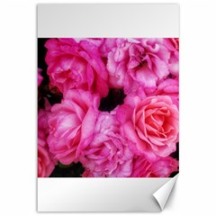 Pink Roses Canvas 12  X 18  by okhismakingart