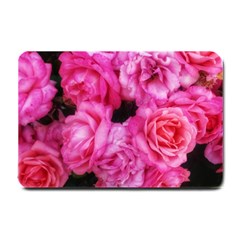 Pink Roses Small Doormat  by okhismakingart