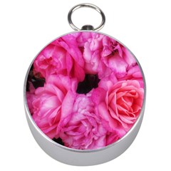 Pink Roses Silver Compasses by okhismakingart