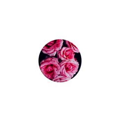 Pink Roses Ii 1  Mini Magnets by okhismakingart