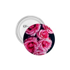 Pink Roses Ii 1 75  Buttons by okhismakingart