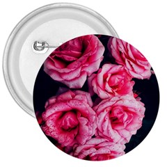 Pink Roses Ii 3  Buttons by okhismakingart