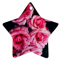 Pink Roses Ii Star Ornament (two Sides) by okhismakingart