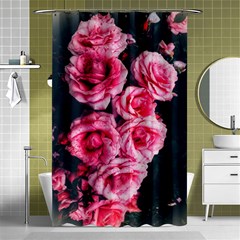 Pink Roses Ii Shower Curtain 48  X 72  (small)  by okhismakingart