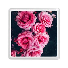 Pink Roses Ii Memory Card Reader (square) by okhismakingart