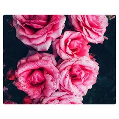 Pink Roses Ii Double Sided Flano Blanket (medium)  by okhismakingart