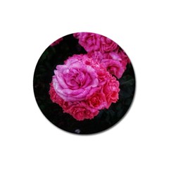 Bunches Of Roses (close Up) Magnet 3  (round) by okhismakingart