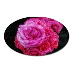 Bunches Of Roses (close Up) Oval Magnet by okhismakingart