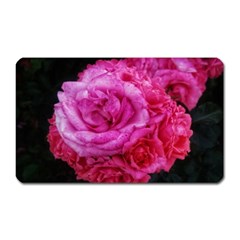 Bunches Of Roses (close Up) Magnet (rectangular) by okhismakingart