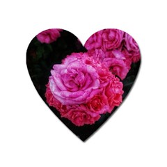 Bunches Of Roses (close Up) Heart Magnet by okhismakingart