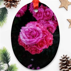 Bunches Of Roses (close Up) Oval Ornament (two Sides) by okhismakingart