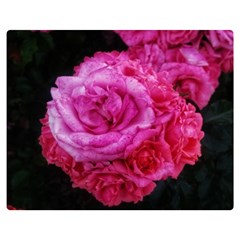 Bunches Of Roses (close Up) Double Sided Flano Blanket (medium)  by okhismakingart