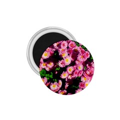 Pink Flower Bushes 1 75  Magnets by okhismakingart