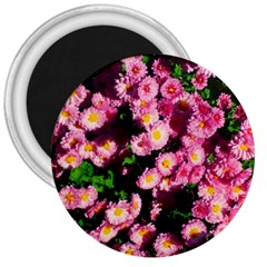 Pink Flower Bushes 3  Magnets by okhismakingart