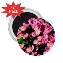 Pink Flower Bushes 2 25  Magnets (10 Pack)  by okhismakingart