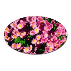 Pink Flower Bushes Oval Magnet by okhismakingart