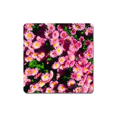 Pink Flower Bushes Square Magnet by okhismakingart