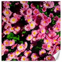 Pink Flower Bushes Canvas 16  X 16  by okhismakingart